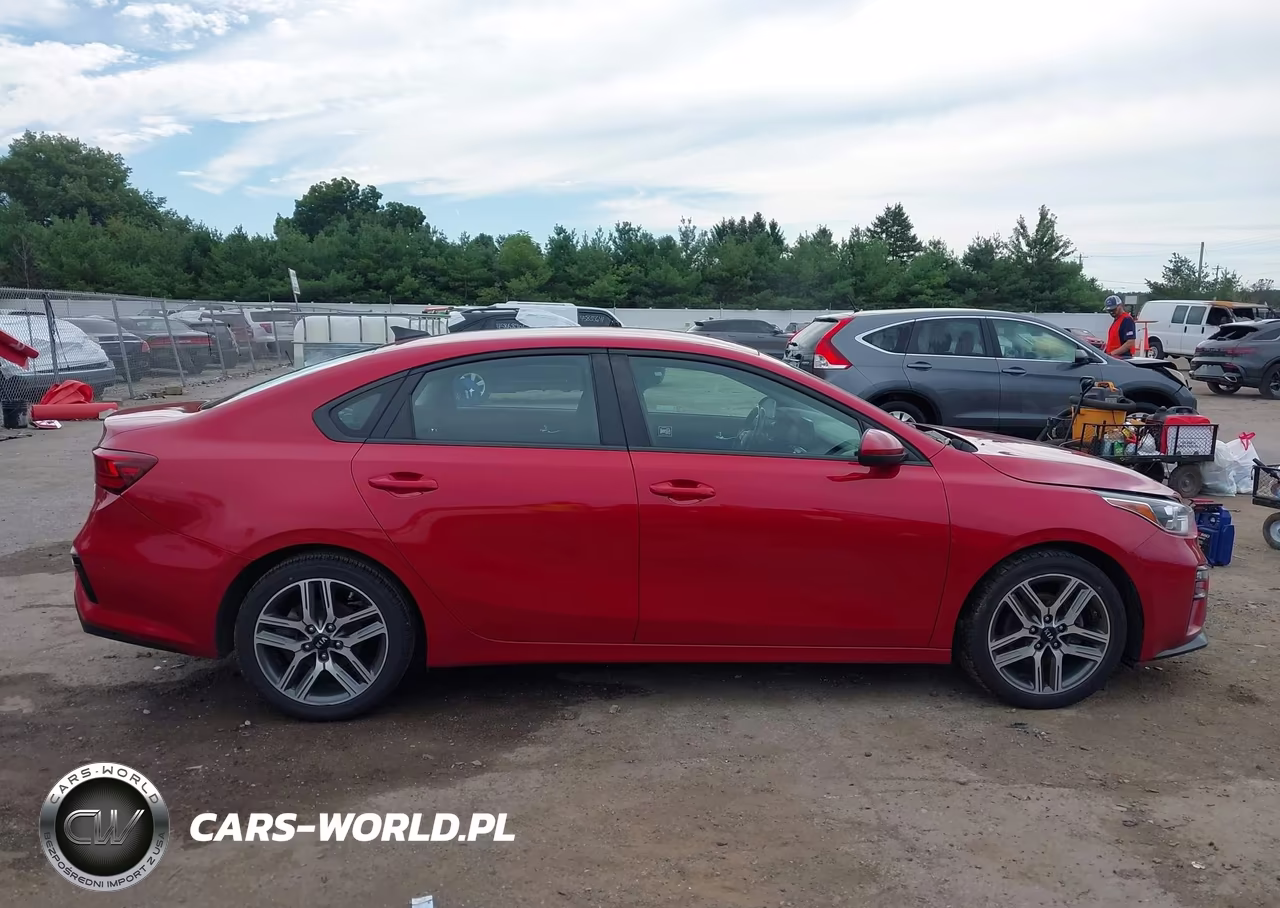 2019 Kia Forte S VIN:3KPF34AD2KE066571 - 13