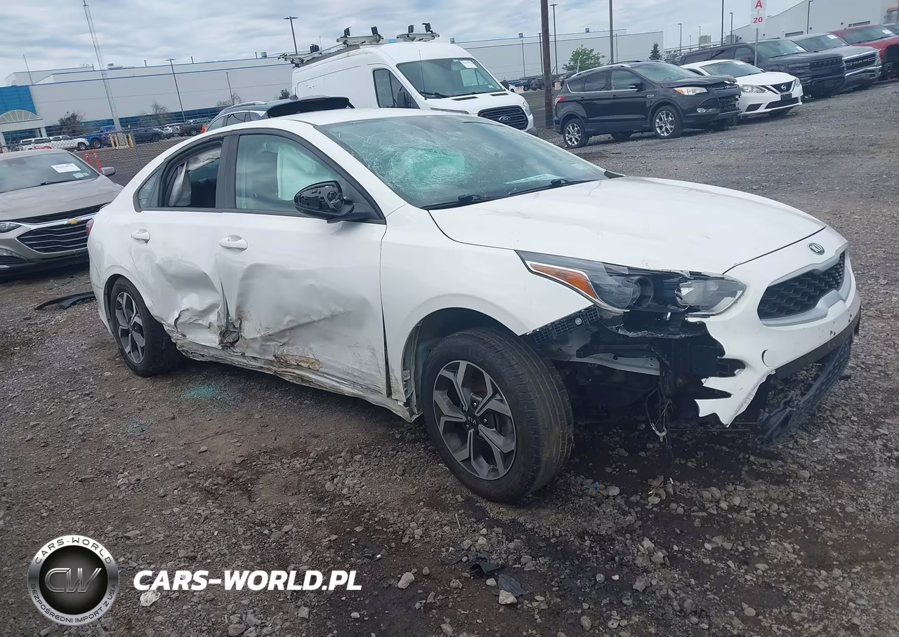 2019 Kia Forte Lxs