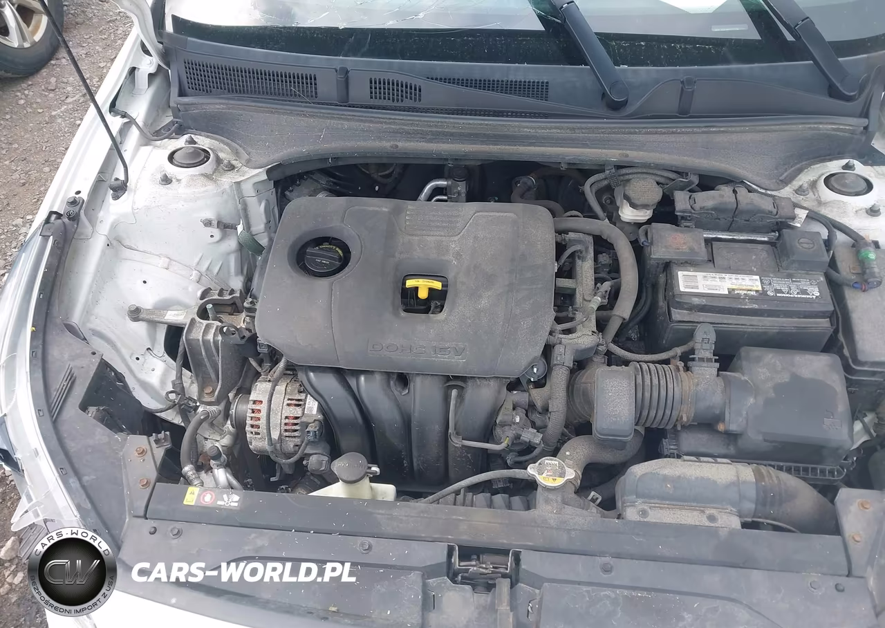 2019 Kia Forte Lxs VIN:3KPF24AD6KE077284 - 10
