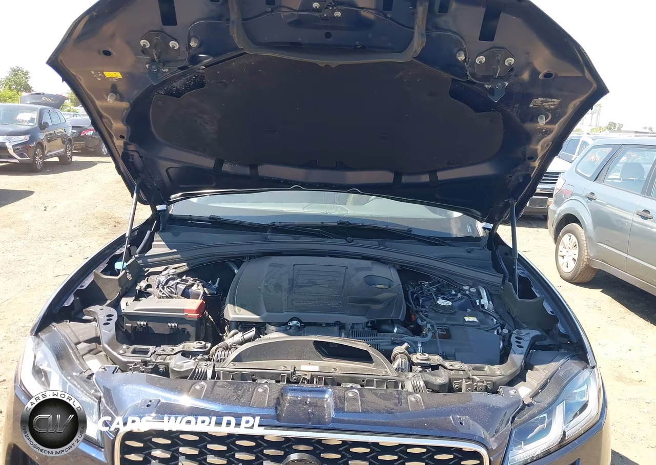 2023 Jaguar F-Pace S P250 Awd Automatic VIN:SADCJ2EX6PA705602 - 10