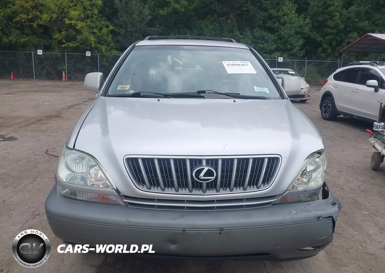 2002 Lexus Rx 300 VIN:JTJHF10U020238246 - 12