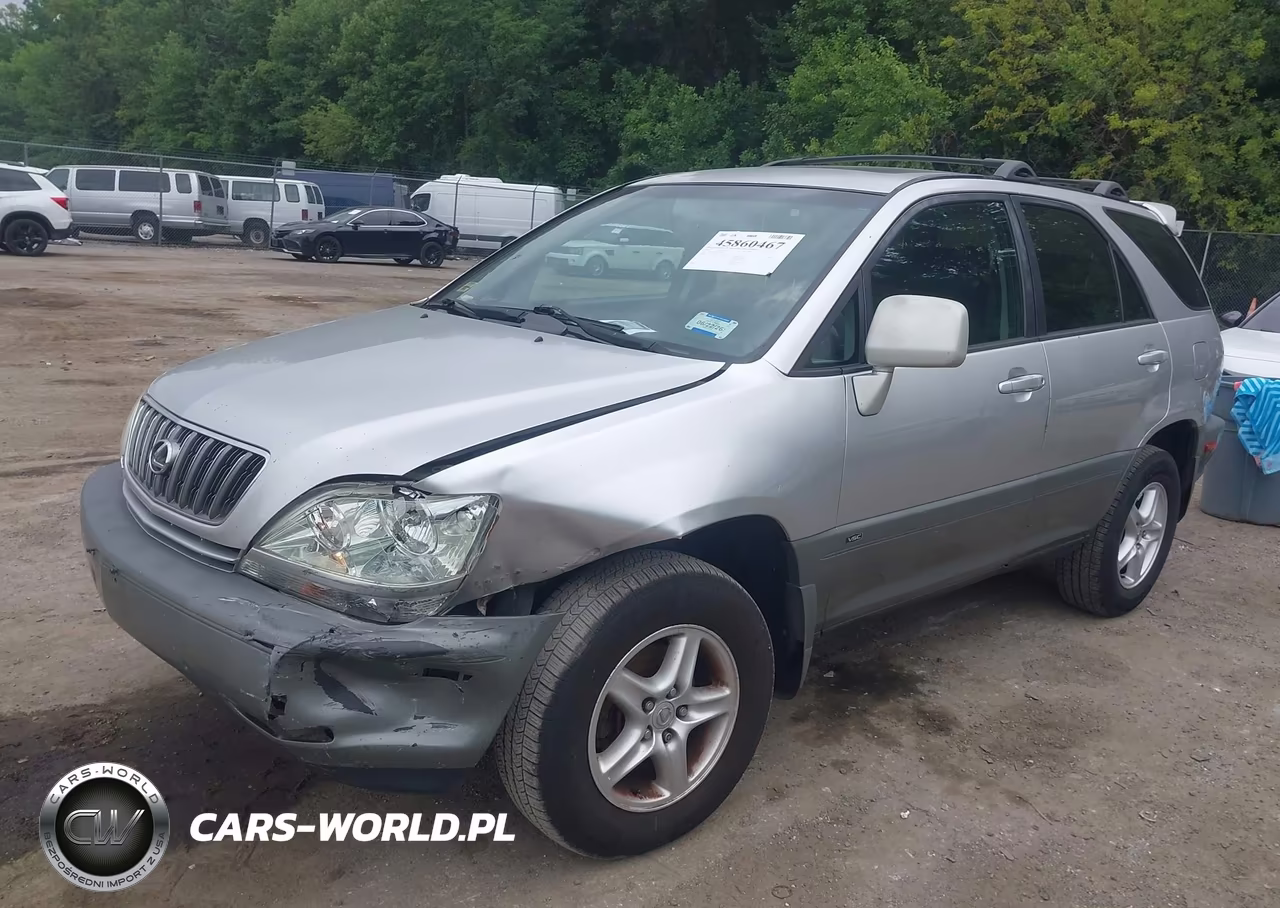 2002 Lexus Rx 300 VIN:JTJHF10U020238246 - 2