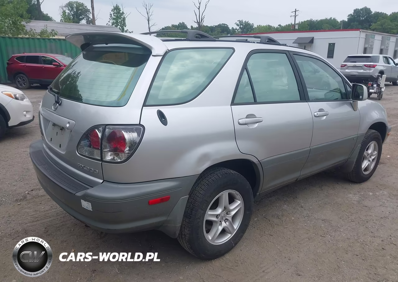 2002 Lexus Rx 300 VIN:JTJHF10U020238246 - 4