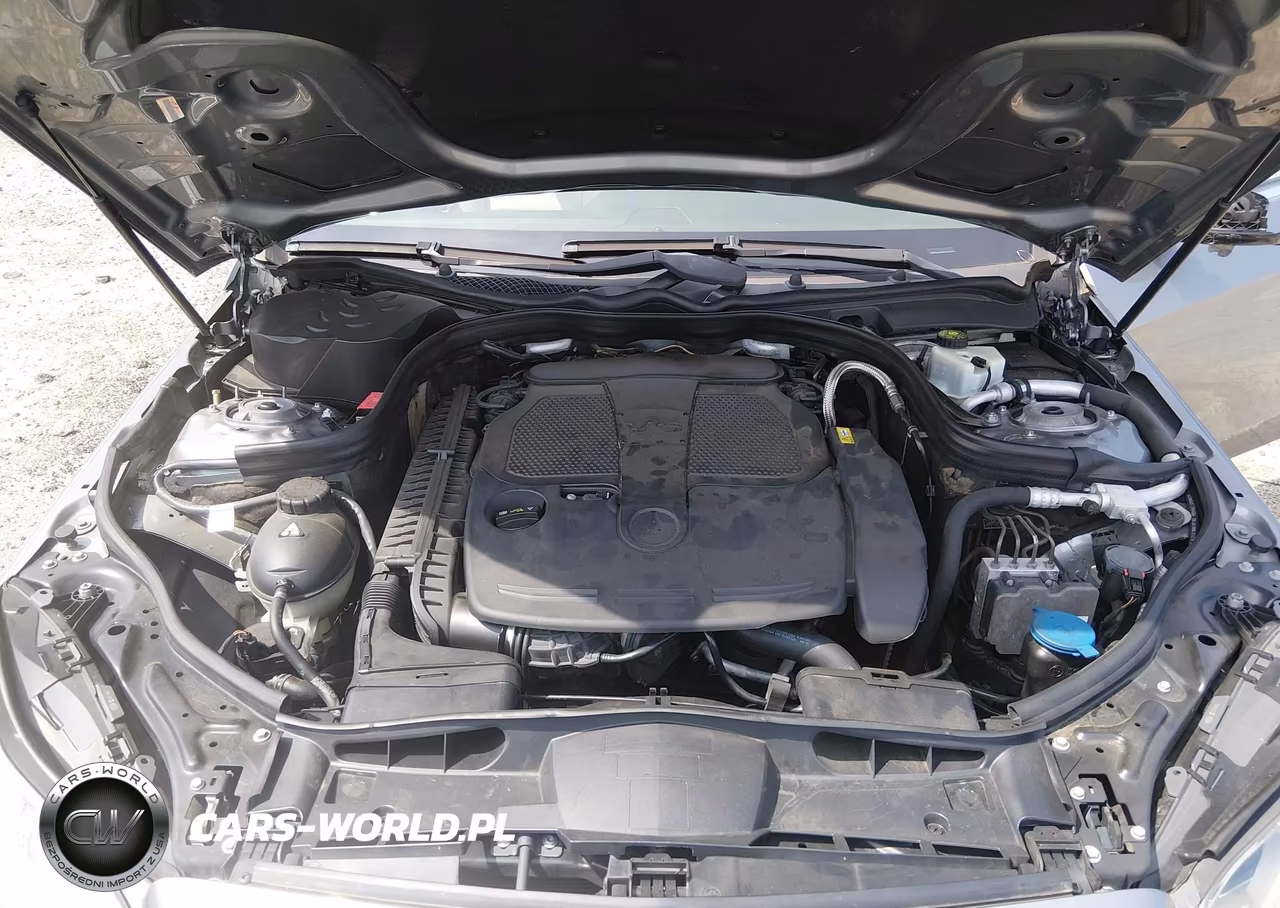 2014 Mercedes-Benz E 350 VIN:WDDHF5KB8EA810786 - 10