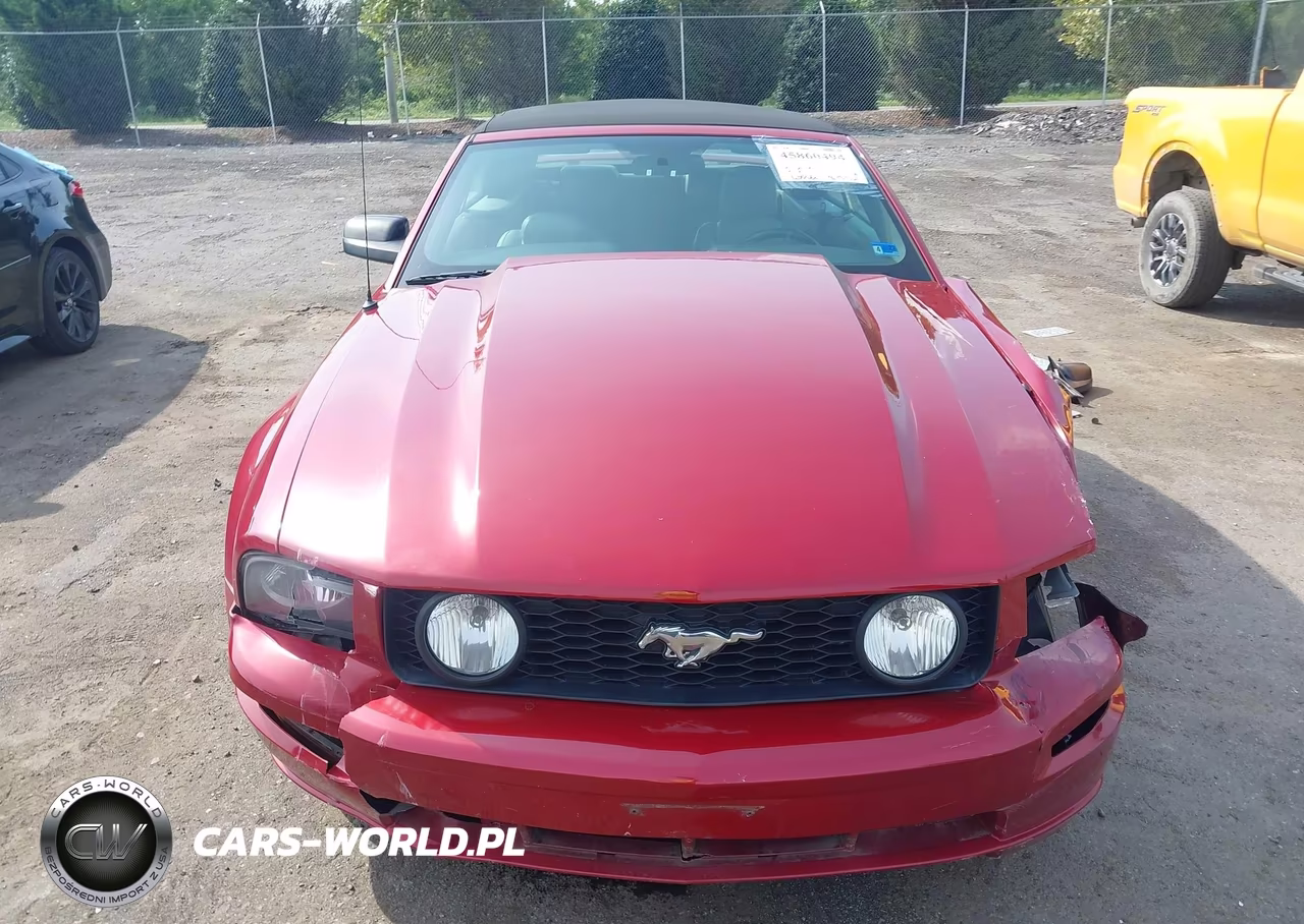 2008 Ford Mustang Gt Deluxe-Gt Premium VIN:1ZVHT85HX85162737 - 13