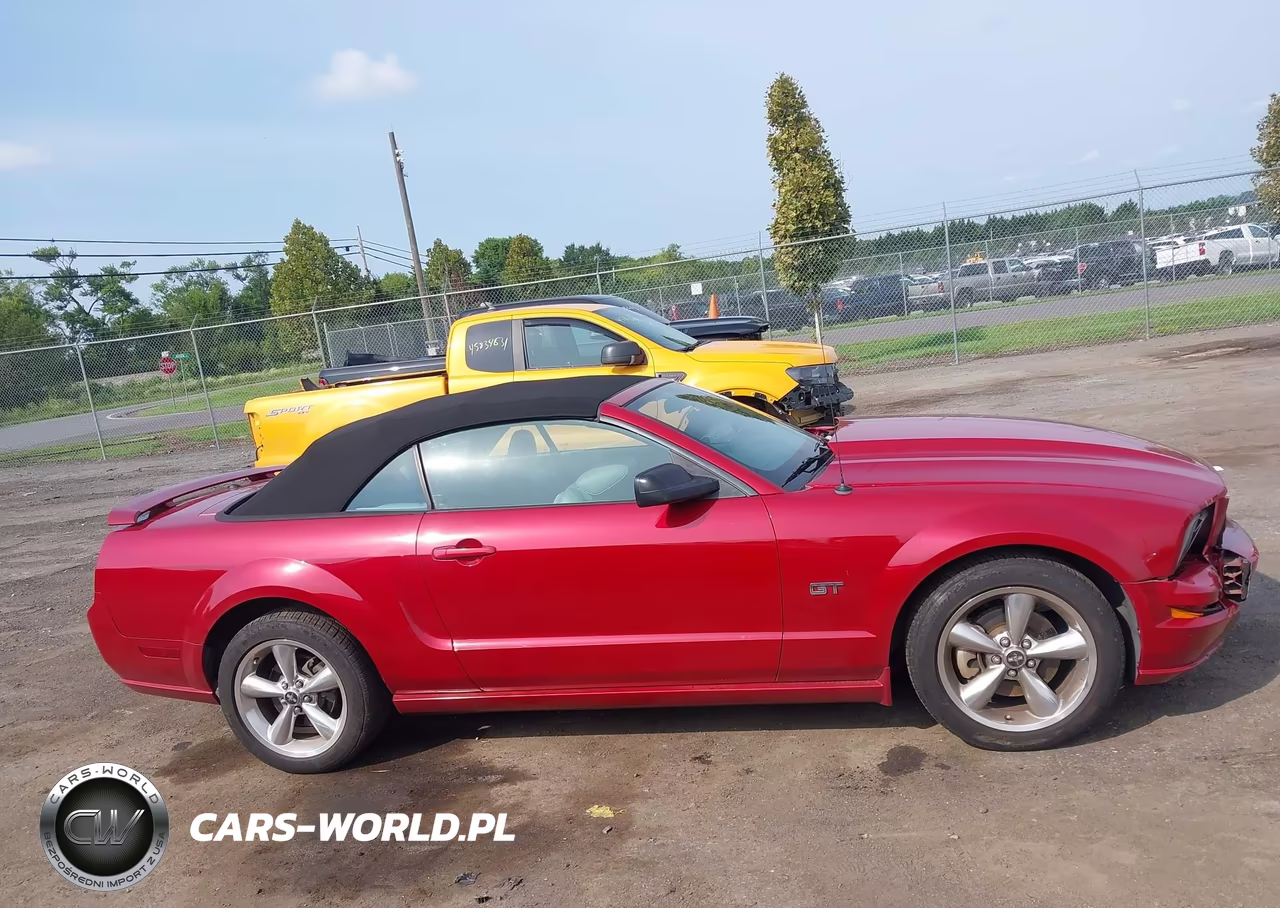2008 Ford Mustang Gt Deluxe-Gt Premium VIN:1ZVHT85HX85162737 - 14