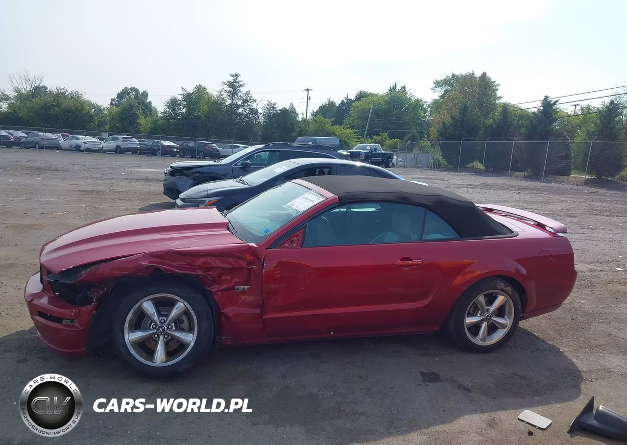 2008 Ford Mustang Gt Deluxe-Gt Premium VIN:1ZVHT85HX85162737 - 15