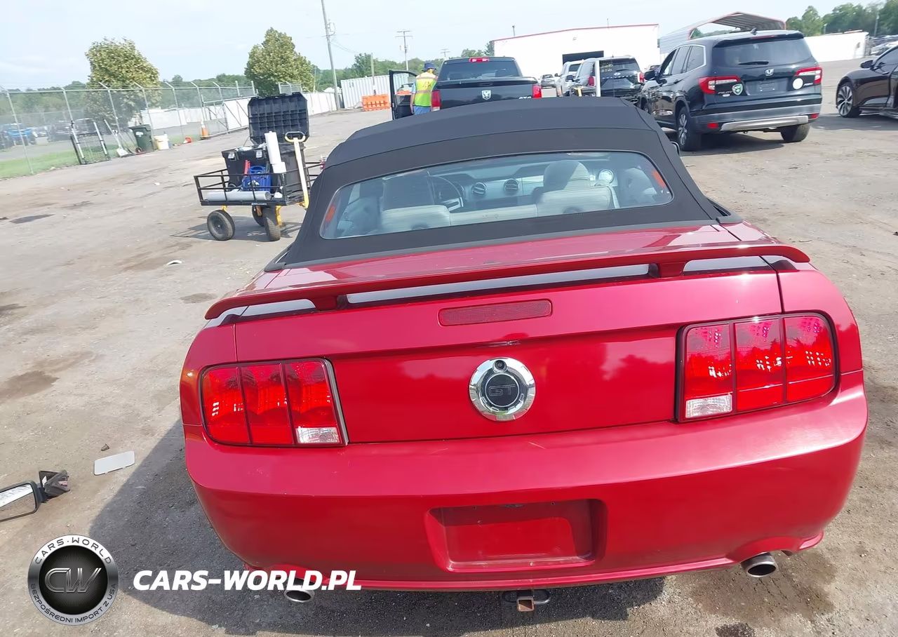 2008 Ford Mustang Gt Deluxe-Gt Premium VIN:1ZVHT85HX85162737 - 17