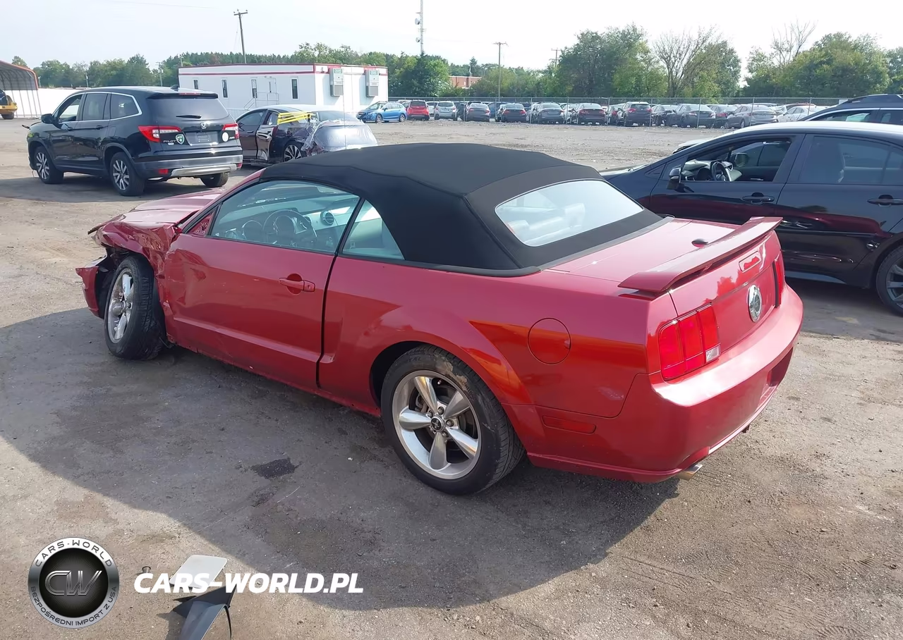 2008 Ford Mustang Gt Deluxe-Gt Premium VIN:1ZVHT85HX85162737 - 3