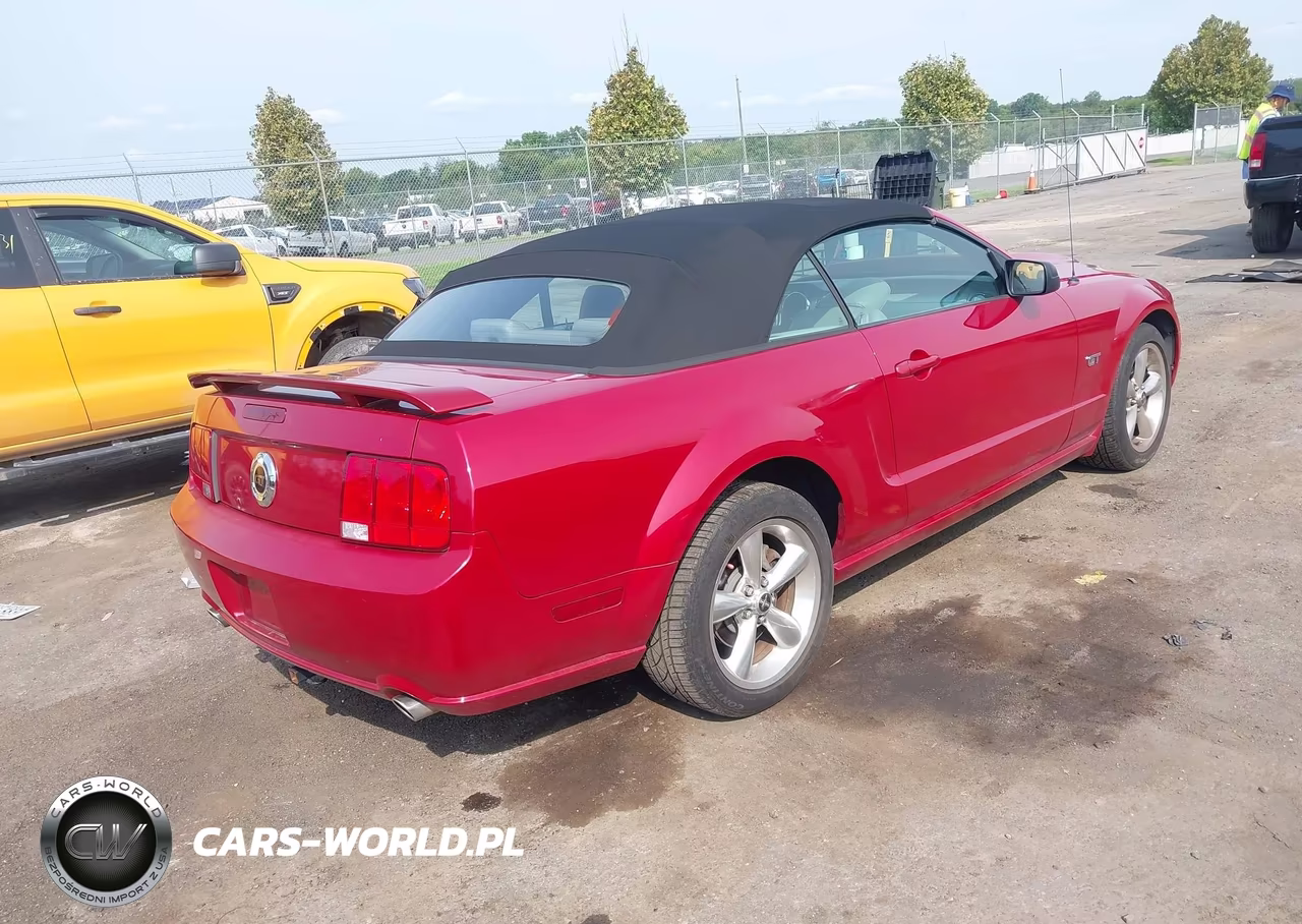 2008 Ford Mustang Gt Deluxe-Gt Premium VIN:1ZVHT85HX85162737 - 4