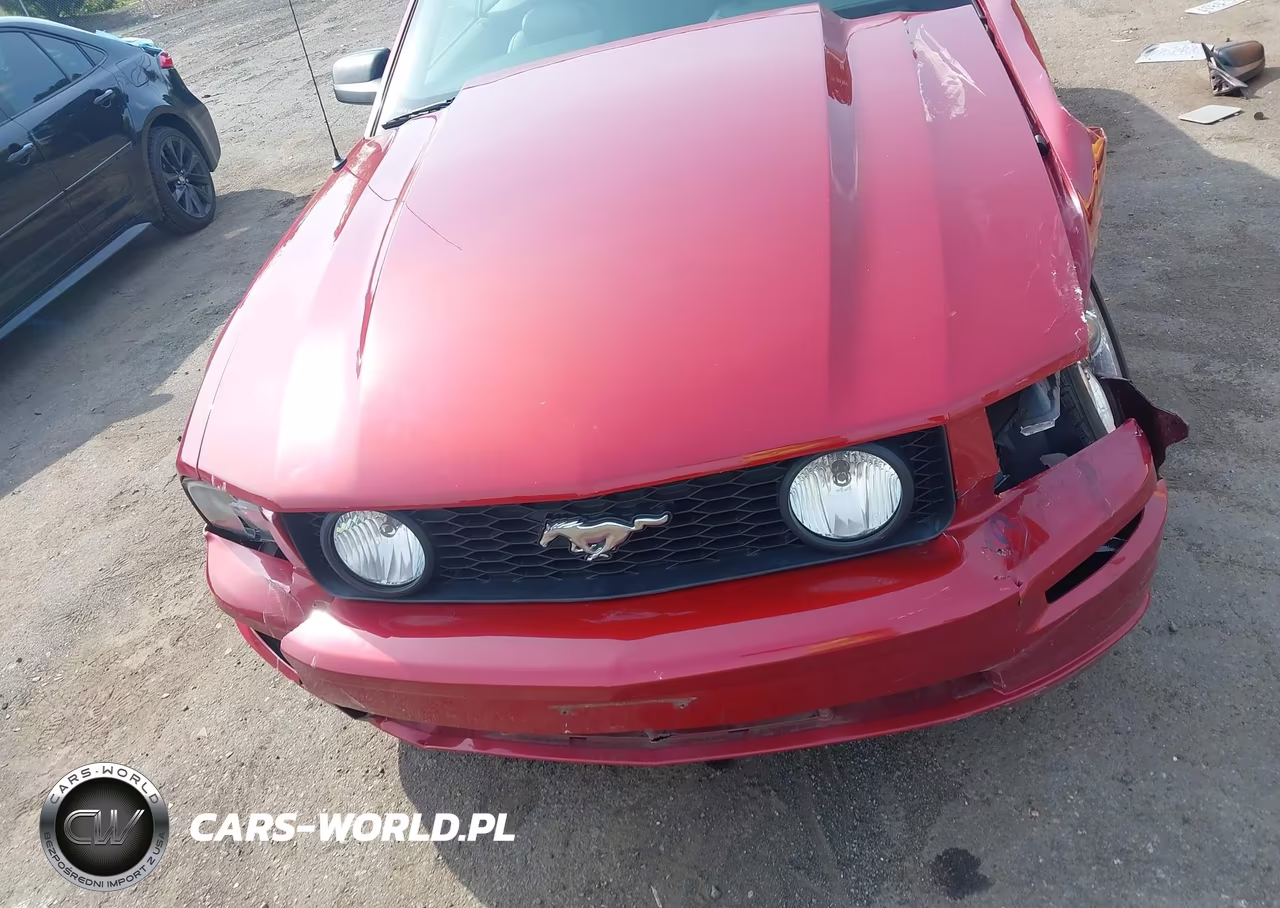 2008 Ford Mustang Gt Deluxe-Gt Premium VIN:1ZVHT85HX85162737 - 6