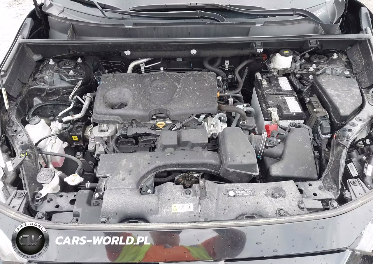 2024 Toyota Rav4 Le VIN:2T3F1RFV2RC442898 - 10
