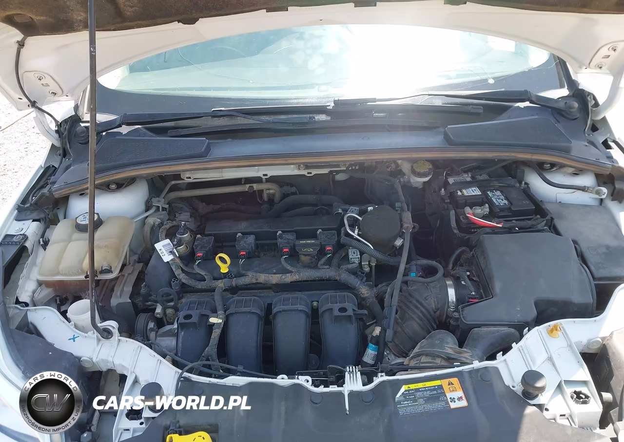 2013 Ford Focus Se VIN:1FADP3F28DL169698 - 10