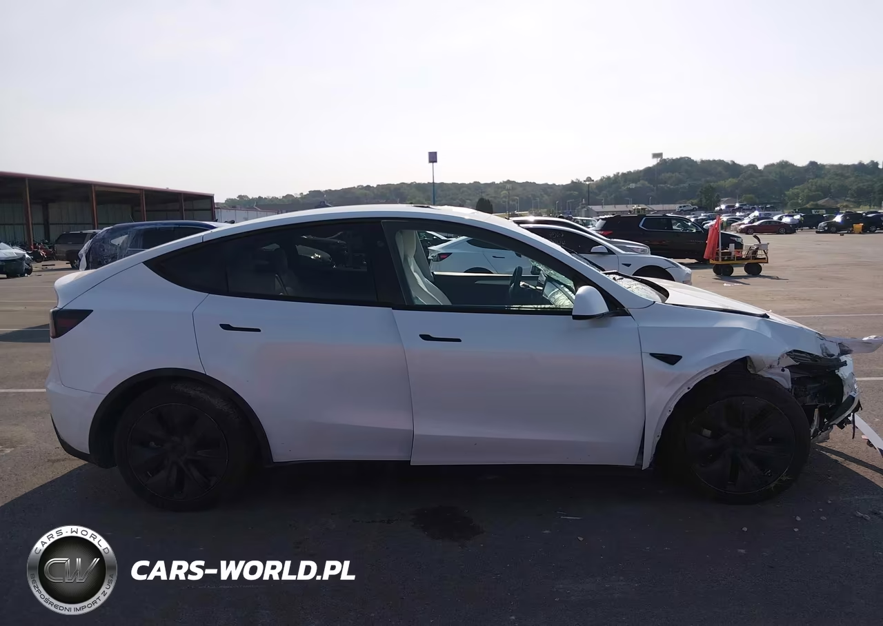 2024 Tesla Model Y Long Range Dual Motor All-Wheel Drive VIN:7SAYGDEE4RF177095 - 12