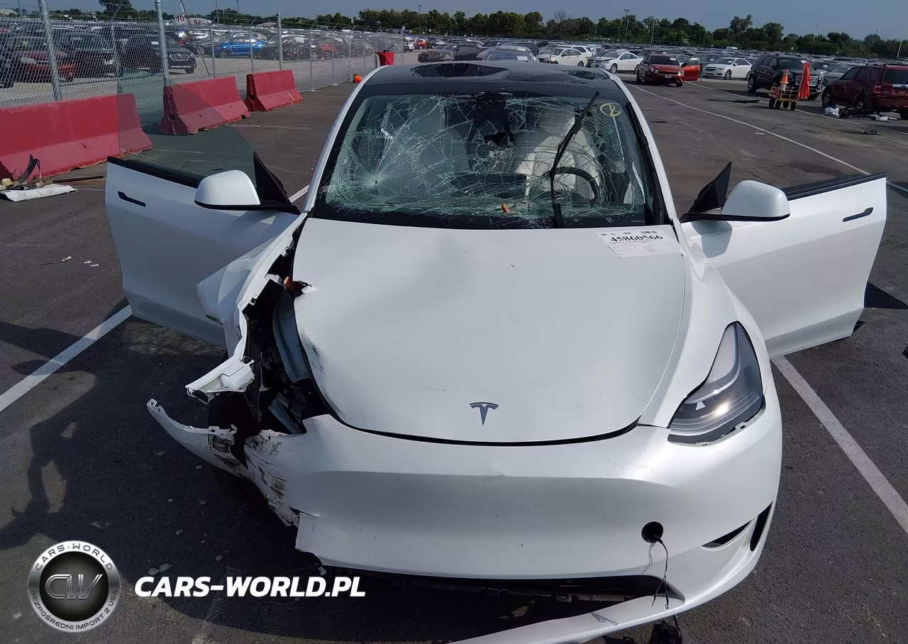 2024 Tesla Model Y Long Range Dual Motor All-Wheel Drive VIN:7SAYGDEE4RF177095 - 6