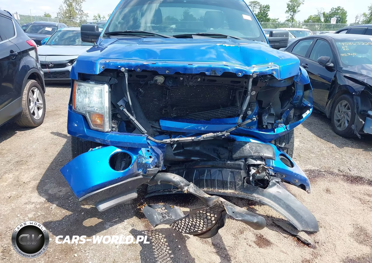 2013 Ford F-150 Stx VIN:1FTMF1EF2DKD63199 - 6