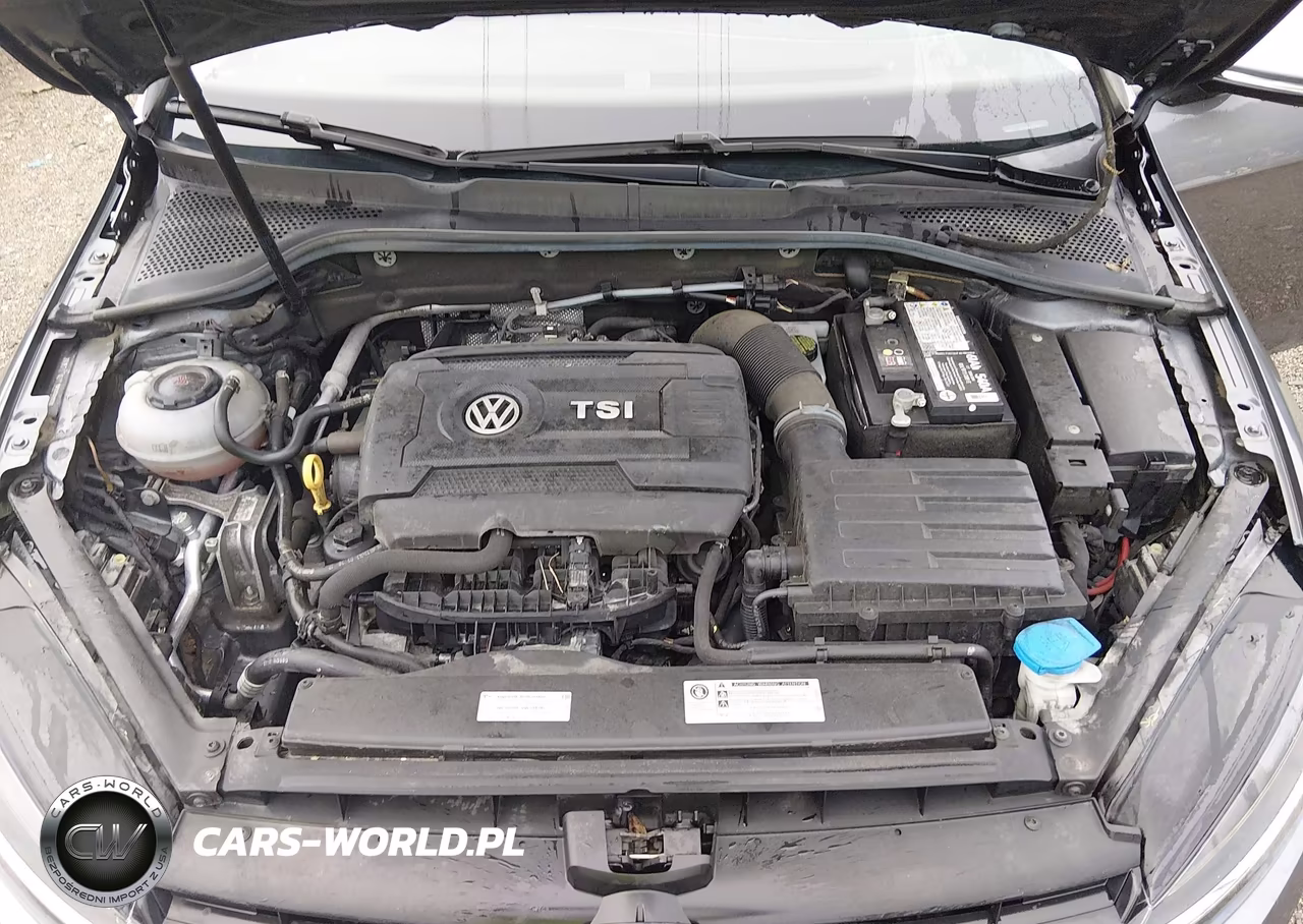 2018 Volkswagen Golf Tsi S-Tsi Se VIN:3VWG17AU1JM279878 - 10