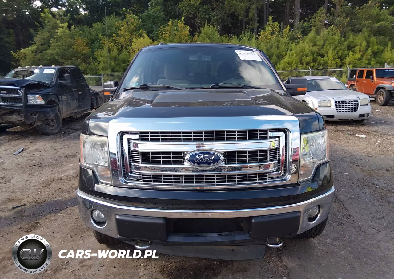 2014 Ford F-150 Xlt VIN:1FTFW1EF6EFB81668 - 12