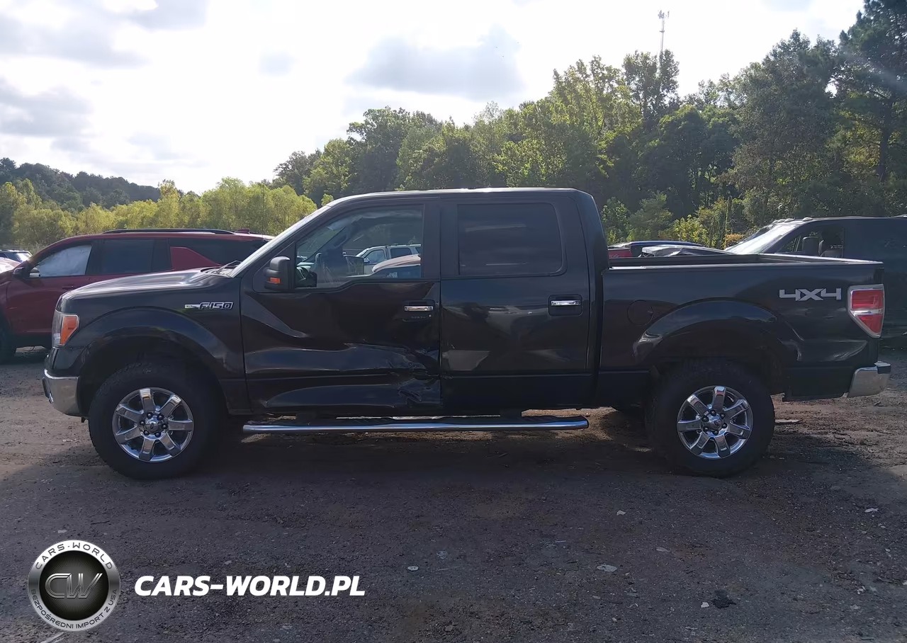 2014 Ford F-150 Xlt VIN:1FTFW1EF6EFB81668 - 14