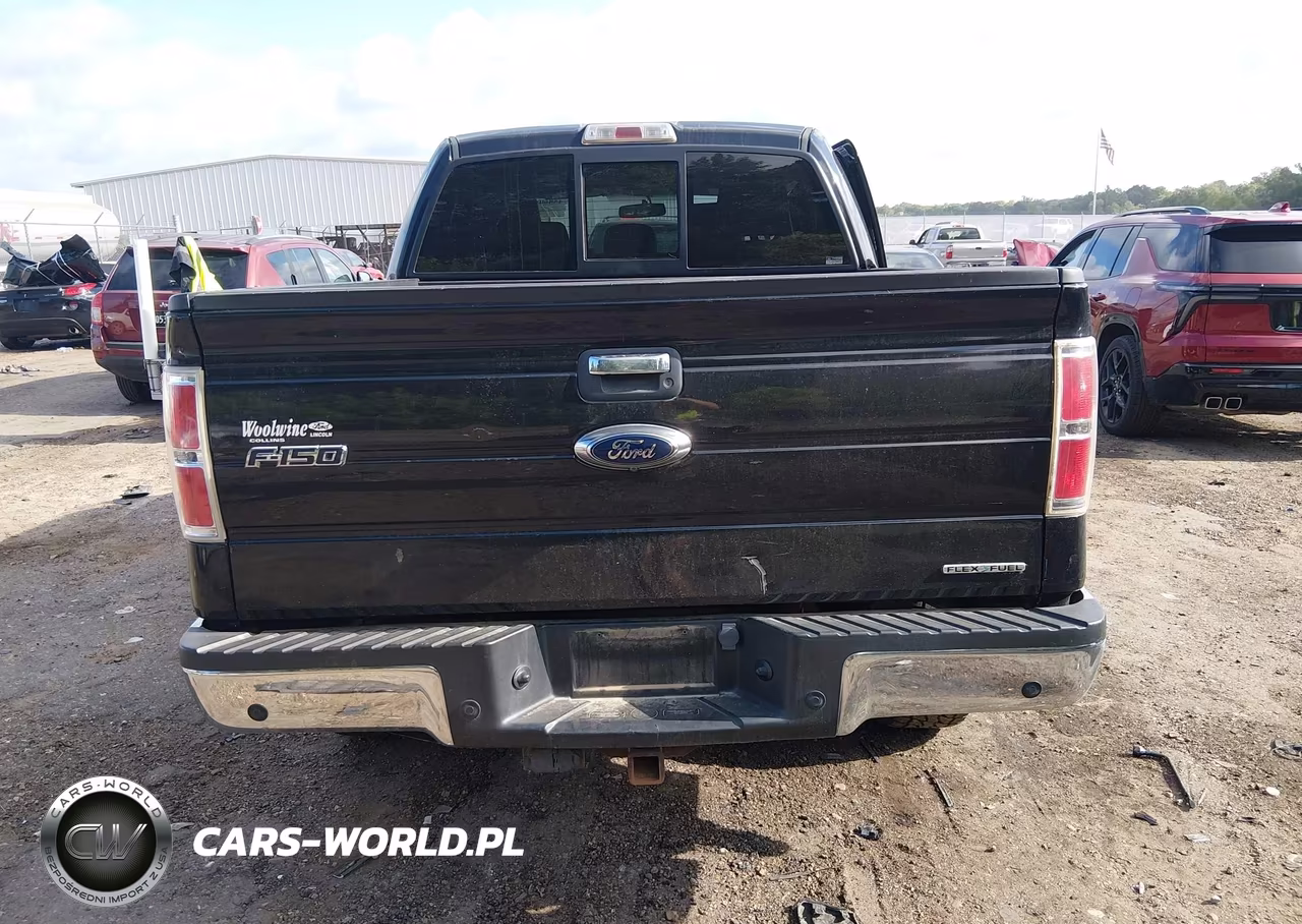 2014 Ford F-150 Xlt VIN:1FTFW1EF6EFB81668 - 16