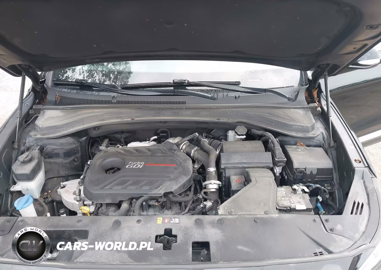 2019 Hyundai Santa Fe Limited 2.0T VIN:5NMS5CAA3KH093716 - 10