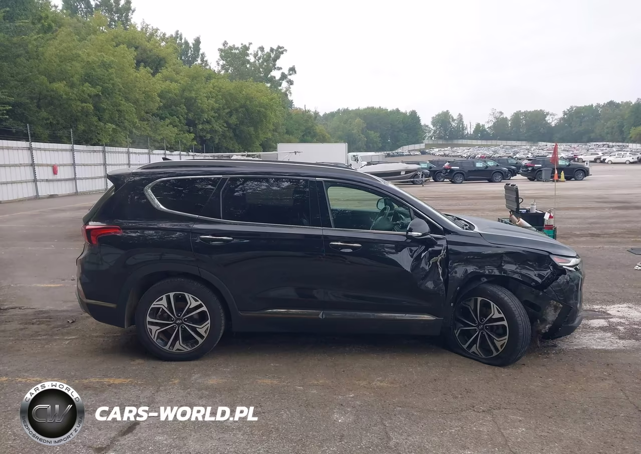 2019 Hyundai Santa Fe Limited 2.0T VIN:5NMS5CAA3KH093716 - 13