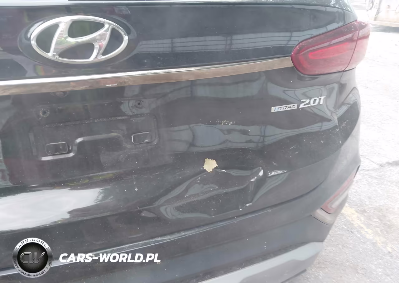 2019 Hyundai Santa Fe Limited 2.0T VIN:5NMS5CAA3KH093716 - 6