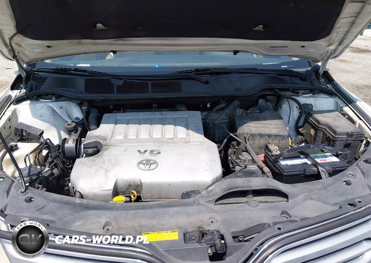2009 Toyota Venza Base V6 VIN:4T3ZK11A29U004171 - 10