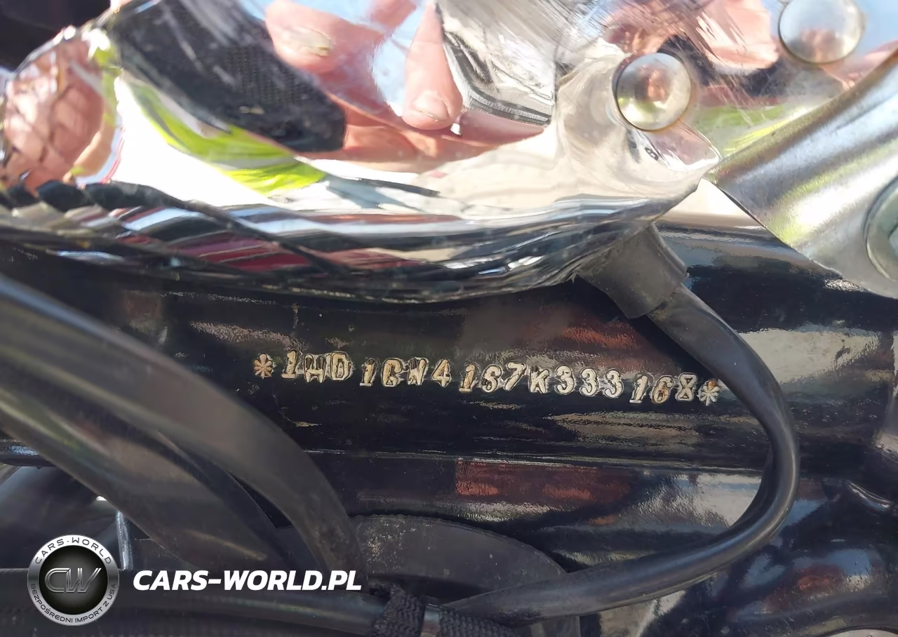 2007 Harley-Davidson Fxdl VIN:1HD1GN4167K333168 - 10