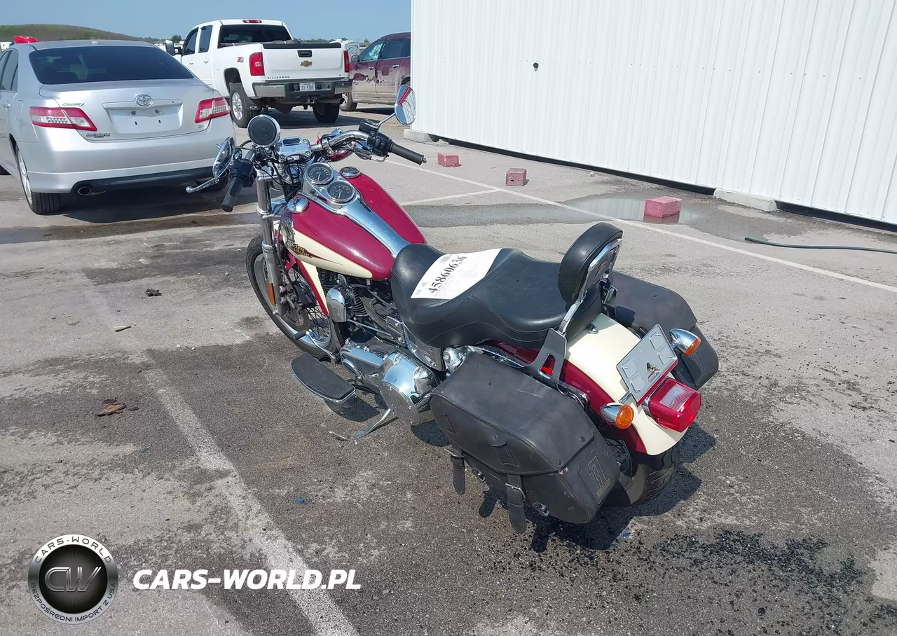 2007 Harley-Davidson Fxdl VIN:1HD1GN4167K333168 - 3