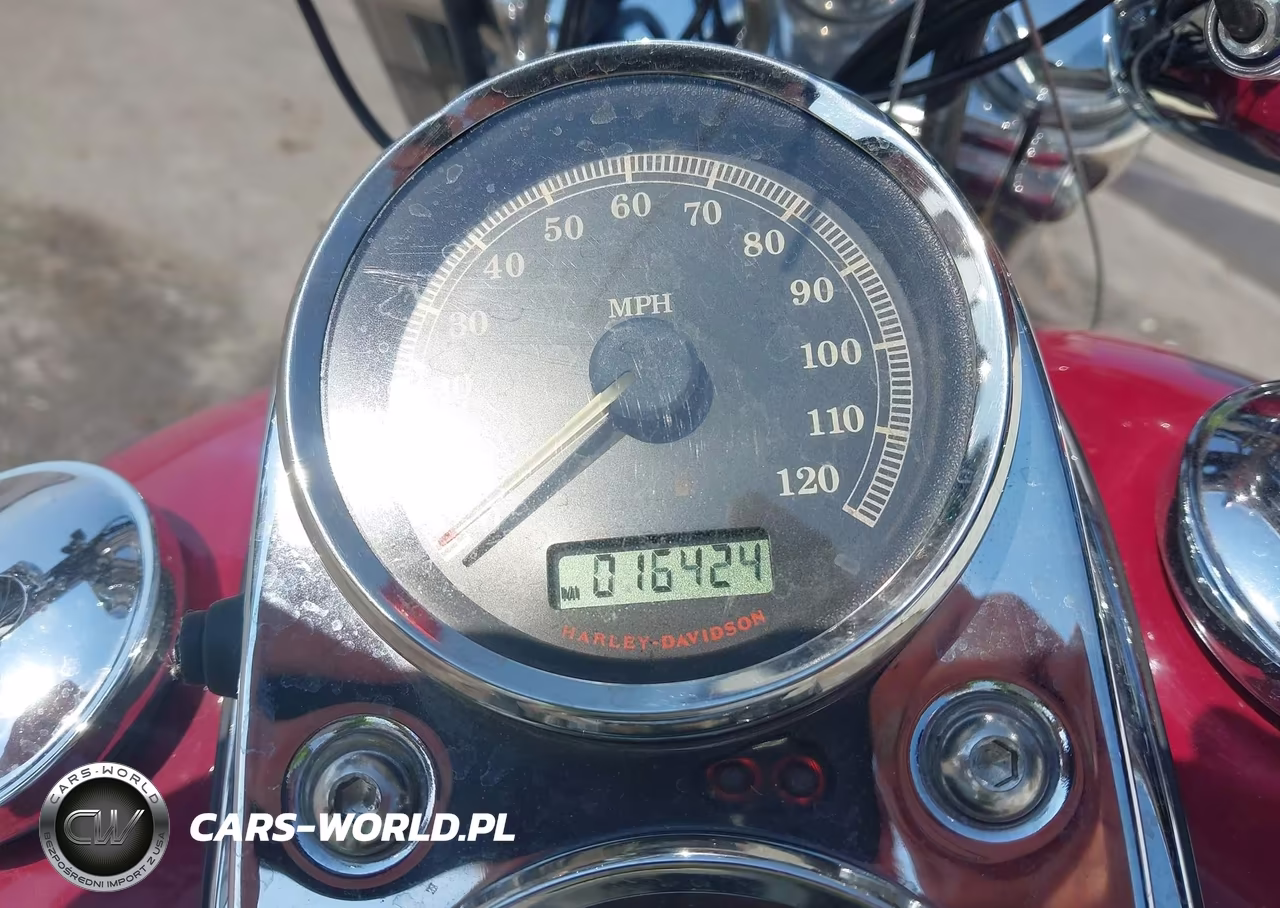 2007 Harley-Davidson Fxdl VIN:1HD1GN4167K333168 - 7