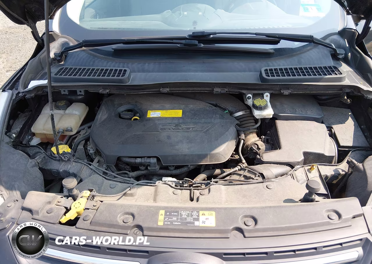 2016 Ford Escape Se VIN:1FMCU9GX2GUA80022 - 10