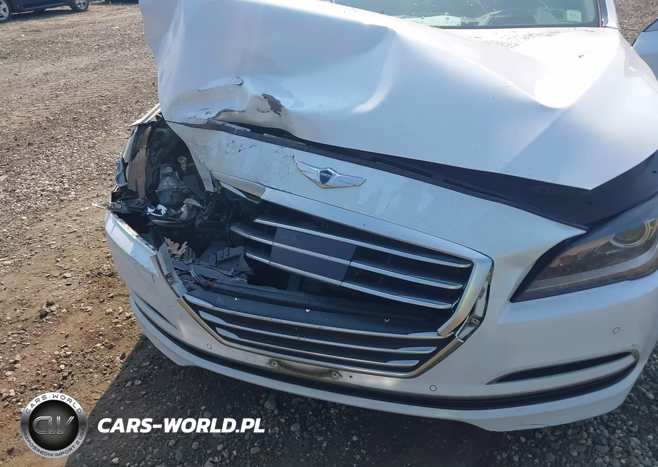 2015 Hyundai Genesis 3.8 VIN:KMHGN4JE2FU069805 - 10