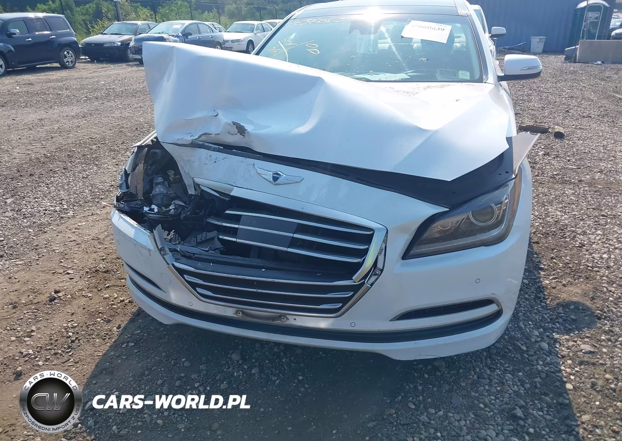 2015 Hyundai Genesis 3.8 VIN:KMHGN4JE2FU069805 - 12