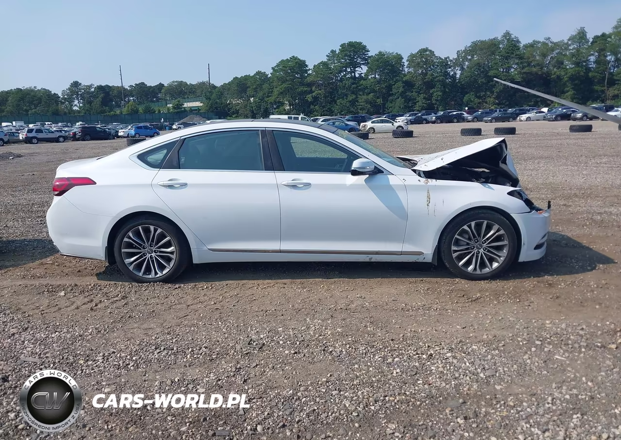 2015 Hyundai Genesis 3.8 VIN:KMHGN4JE2FU069805 - 13