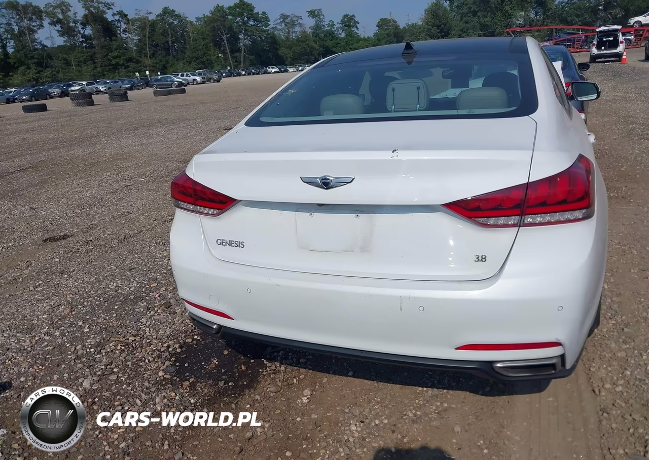 2015 Hyundai Genesis 3.8 VIN:KMHGN4JE2FU069805 - 16