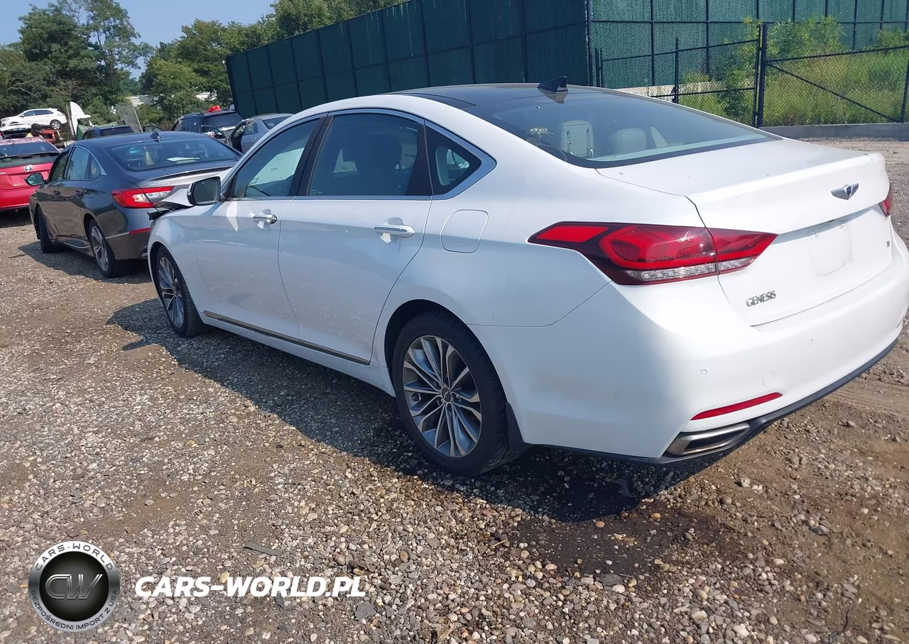 2015 Hyundai Genesis 3.8 VIN:KMHGN4JE2FU069805 - 3