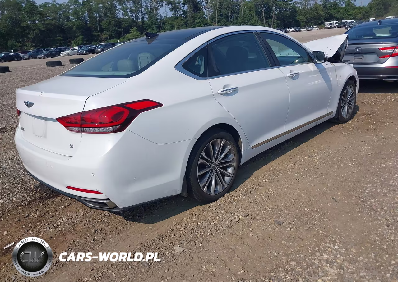 2015 Hyundai Genesis 3.8 VIN:KMHGN4JE2FU069805 - 4