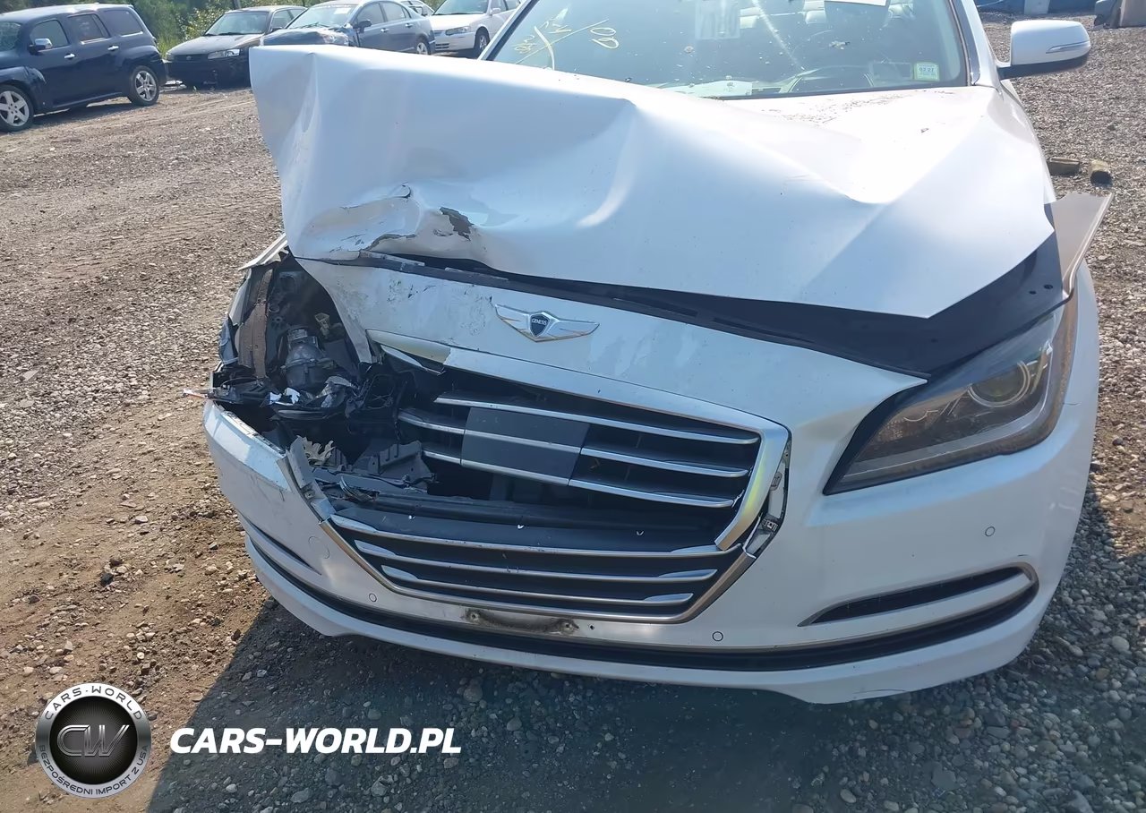 2015 Hyundai Genesis 3.8 VIN:KMHGN4JE2FU069805 - 6