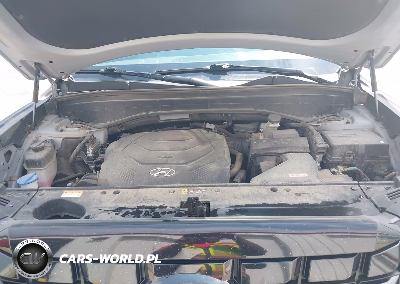 2024 Hyundai Palisade Sel VIN:KM8R2DGE9RU804762 - 10