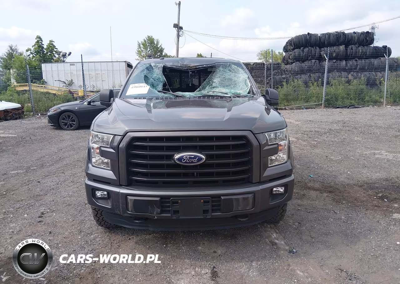 2016 Ford F-150 Xlt VIN:1FTEW1EF7GFC97377 - 12