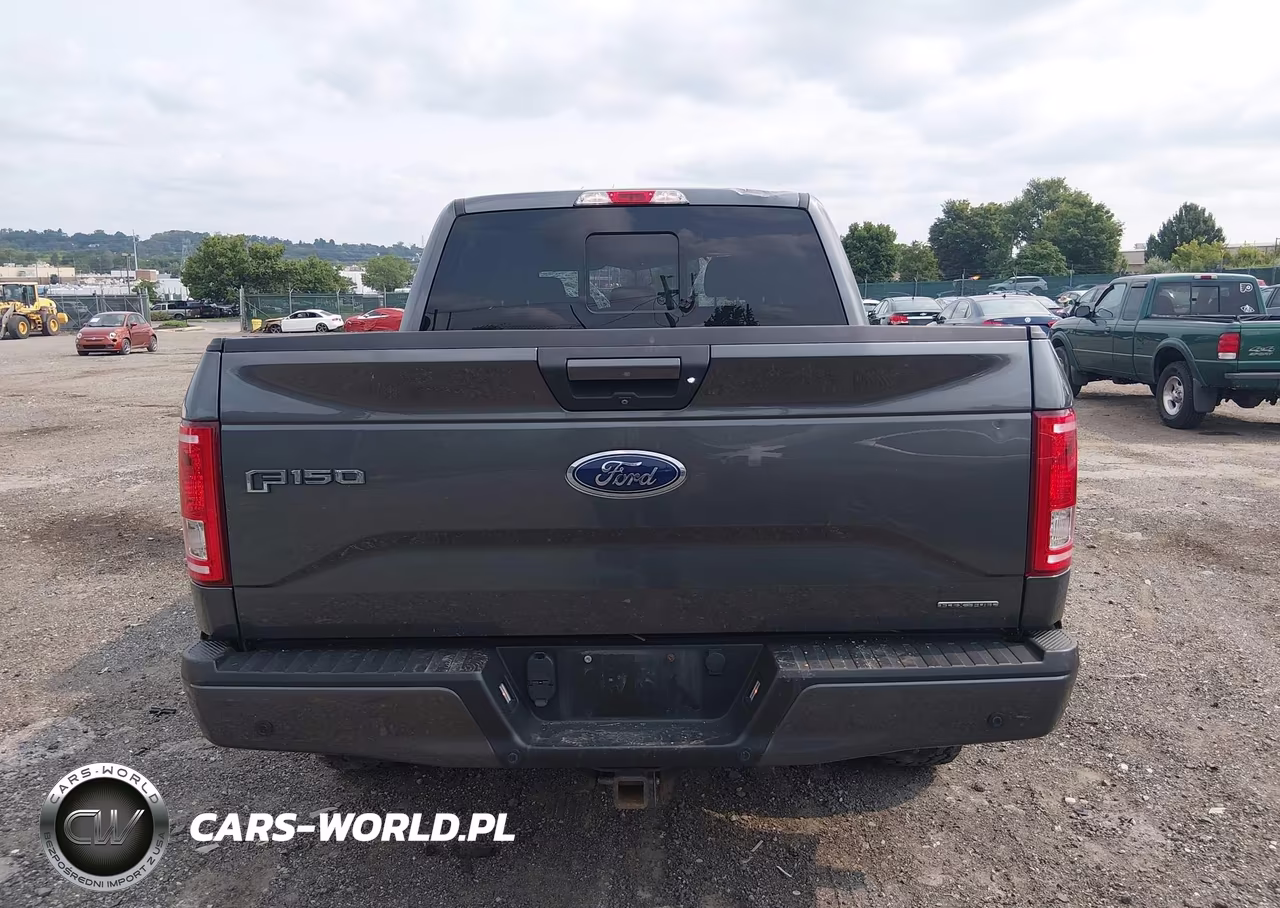 2016 Ford F-150 Xlt VIN:1FTEW1EF7GFC97377 - 16