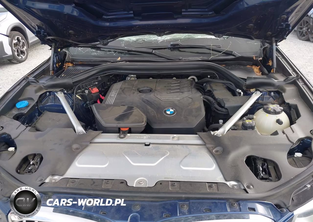 2021 BMW X3 Sdrive30I VIN:5UXTY3C03M9H50935 - 10