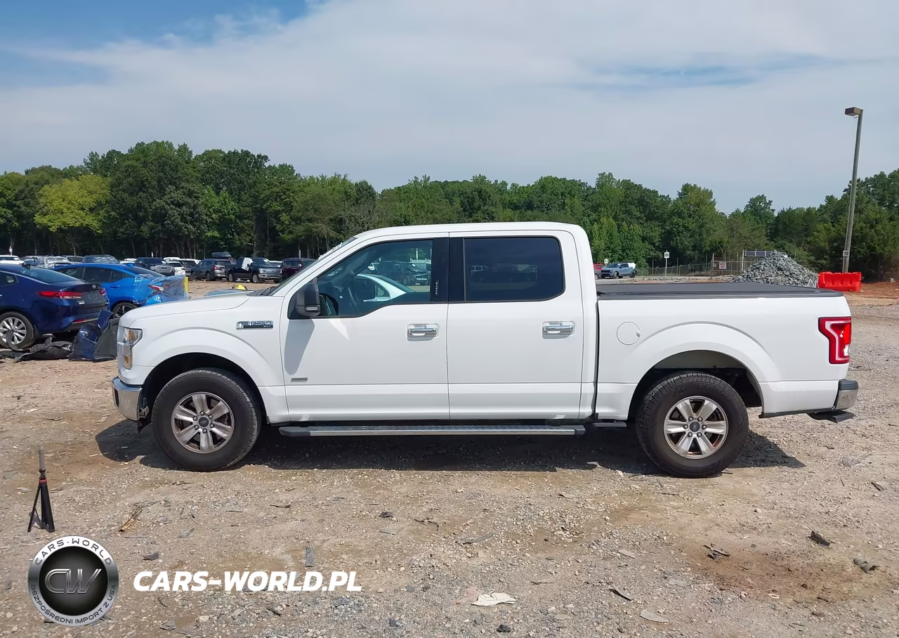 2015 Ford F-150 Xlt VIN:1FTEW1CP7FFB87214 - 14