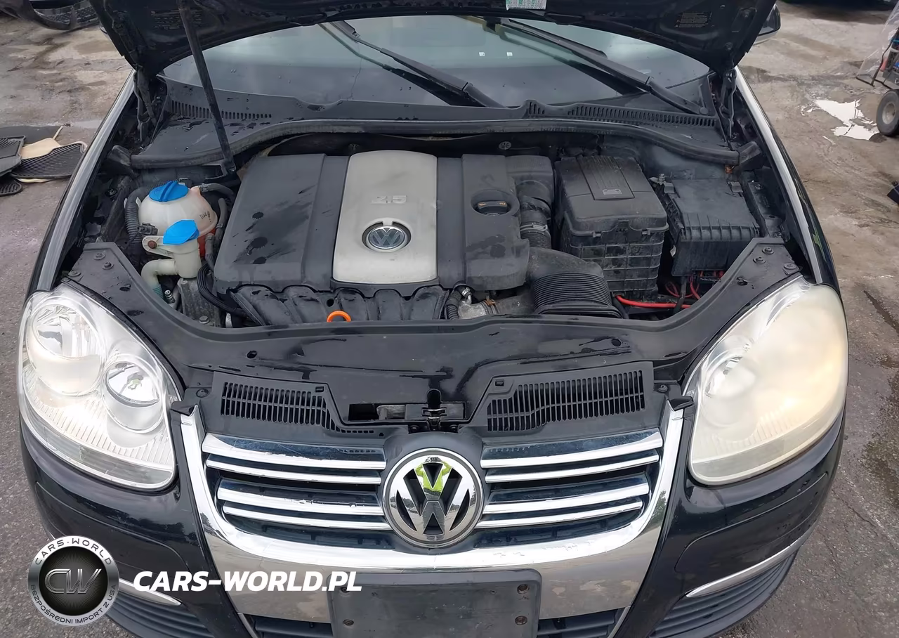 2009 Volkswagen Jetta Se-Sel VIN:3VWRZ71K69M058675 - 10