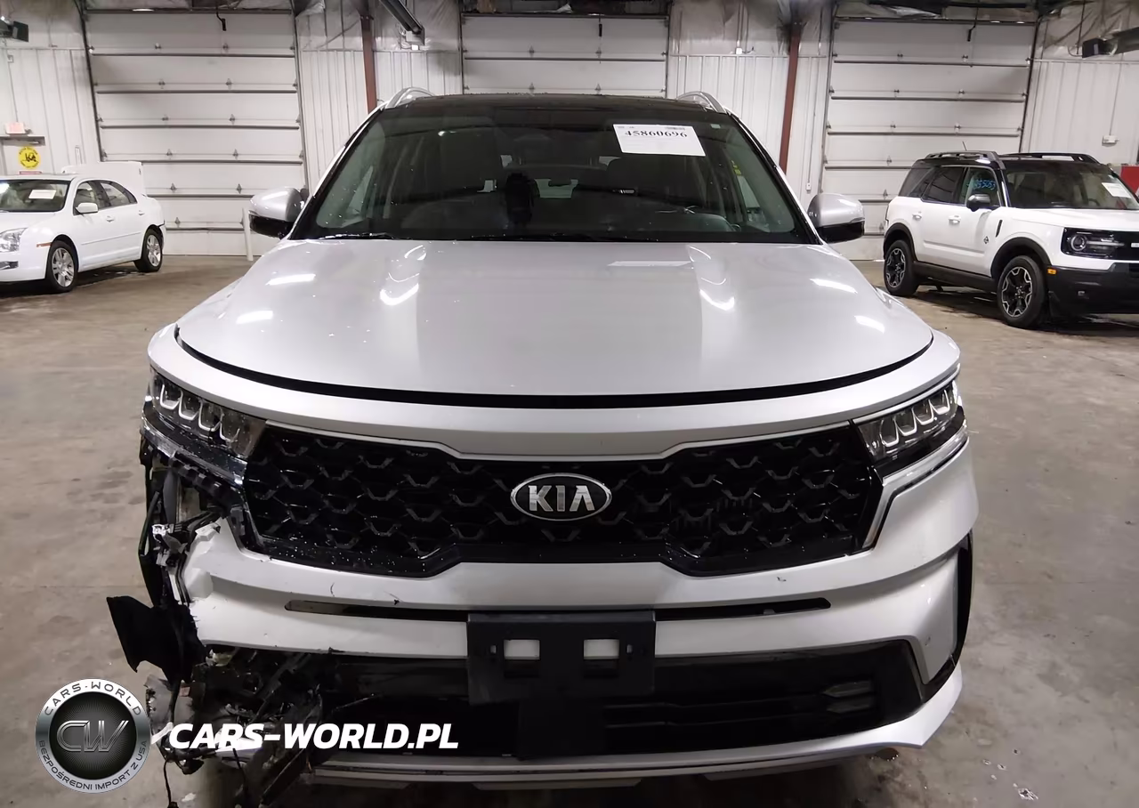 2021 Kia Sorento Hybrid Ex VIN:KNDRH4LG5M5049462 - 13