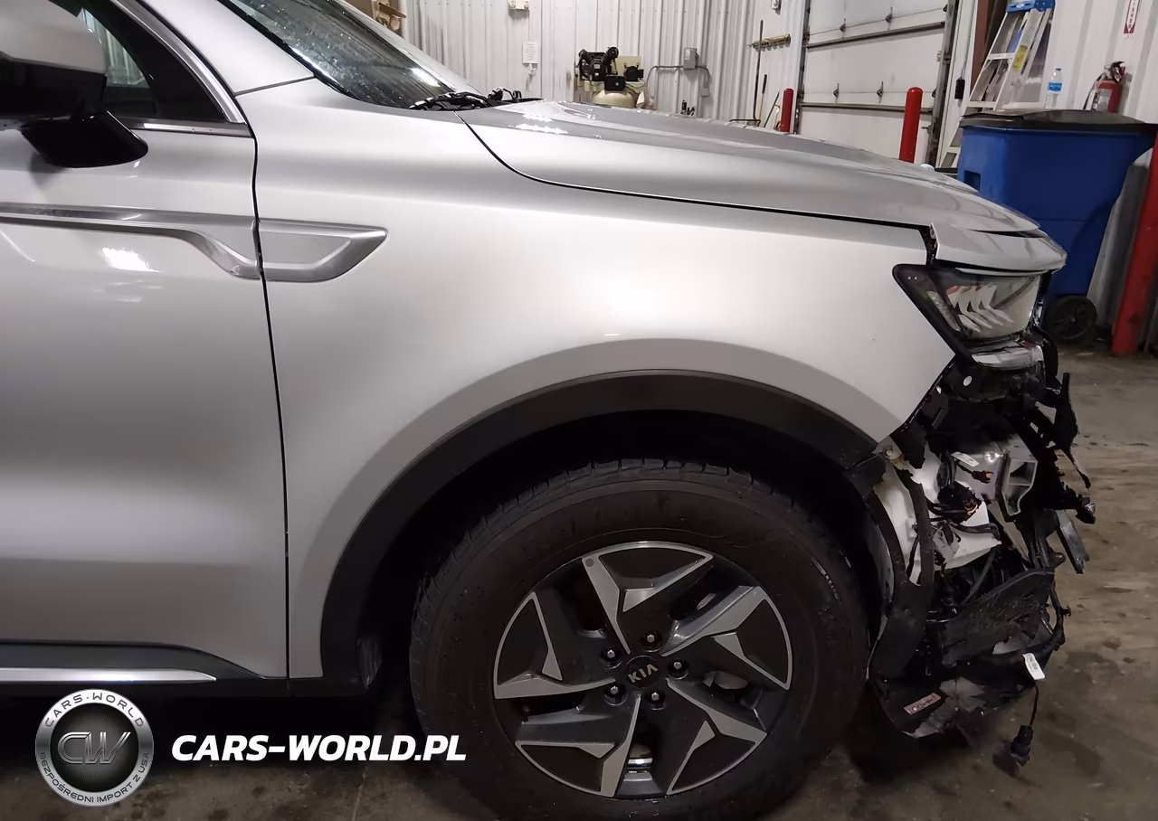 2021 Kia Sorento Hybrid Ex VIN:KNDRH4LG5M5049462 - 19
