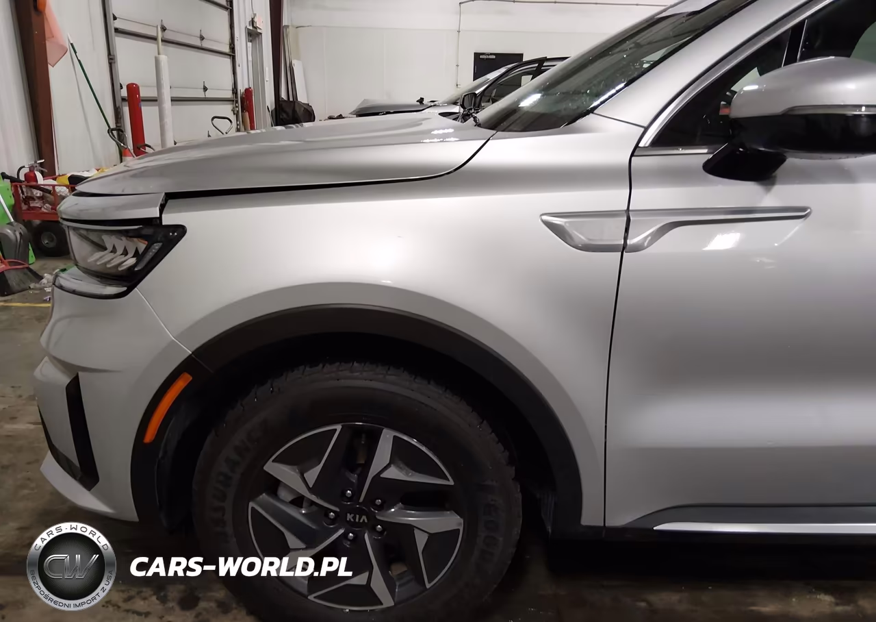 2021 Kia Sorento Hybrid Ex VIN:KNDRH4LG5M5049462 - 20