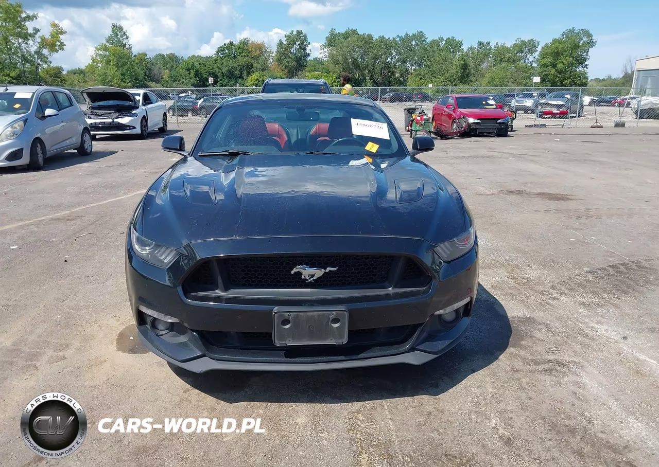 2017 Ford Mustang Gt Premium VIN:1FA6P8CF7H5256385 - 12