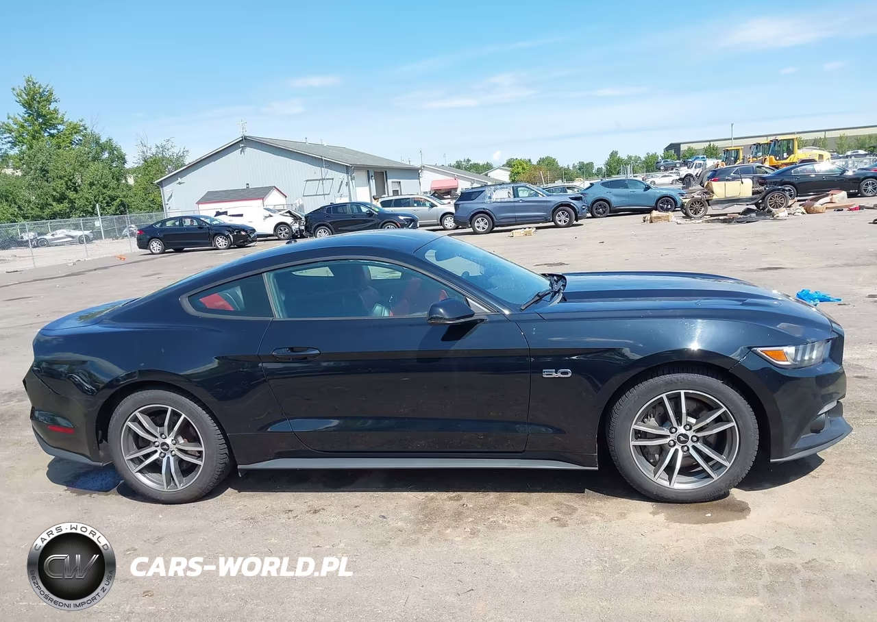 2017 Ford Mustang Gt Premium VIN:1FA6P8CF7H5256385 - 13
